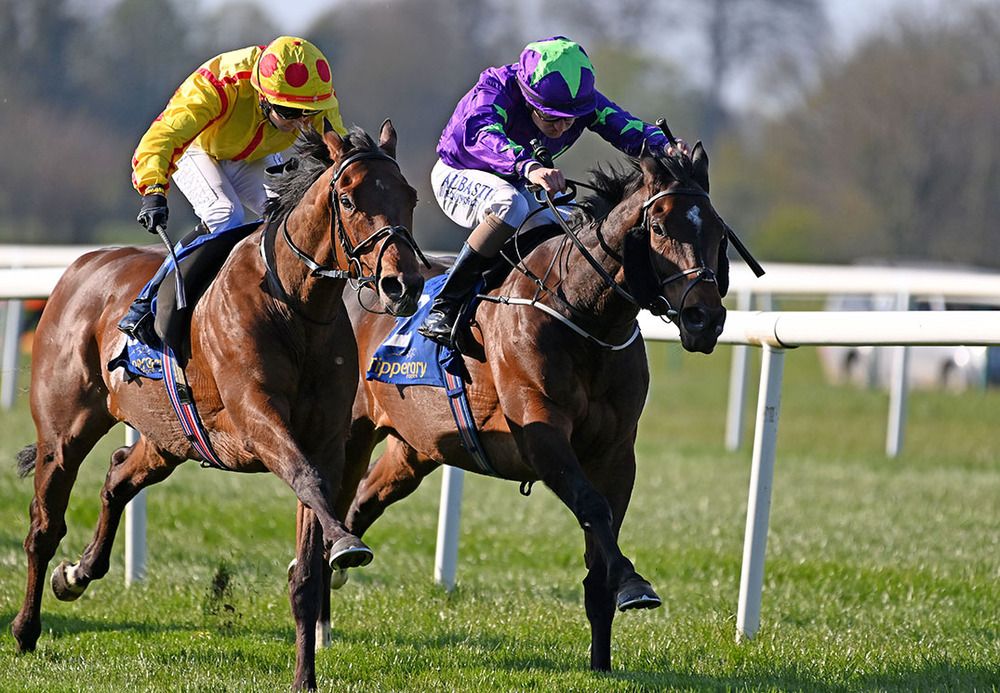Burren Song (left) beats Taipan
