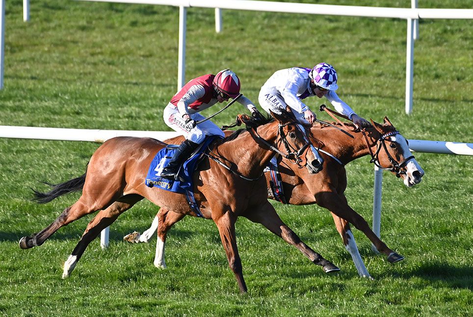 Apprentice and Alan Persse (nearest) beat Slaney Tide and Luke McAteer
