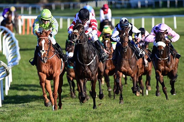 Final Decision (left) beats River Tara