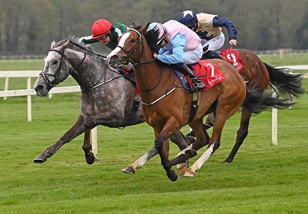 Moracana, near side, gets up from Irish Lullaby 