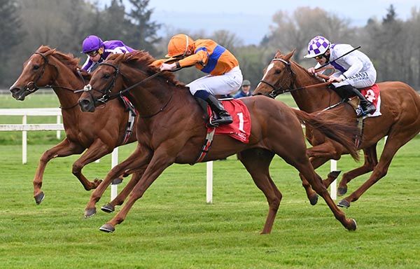 Alder and Gavin Ryan