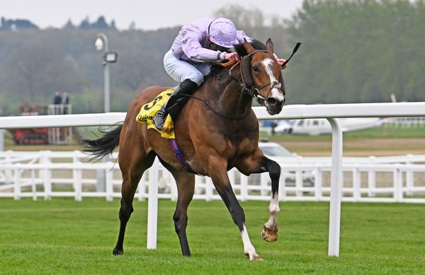 Grand Alliance misses his engagement in the Prix du Cadran due to setback 