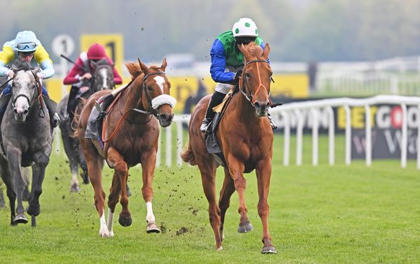 Isaac Shelby leads home the riderless Chaldean