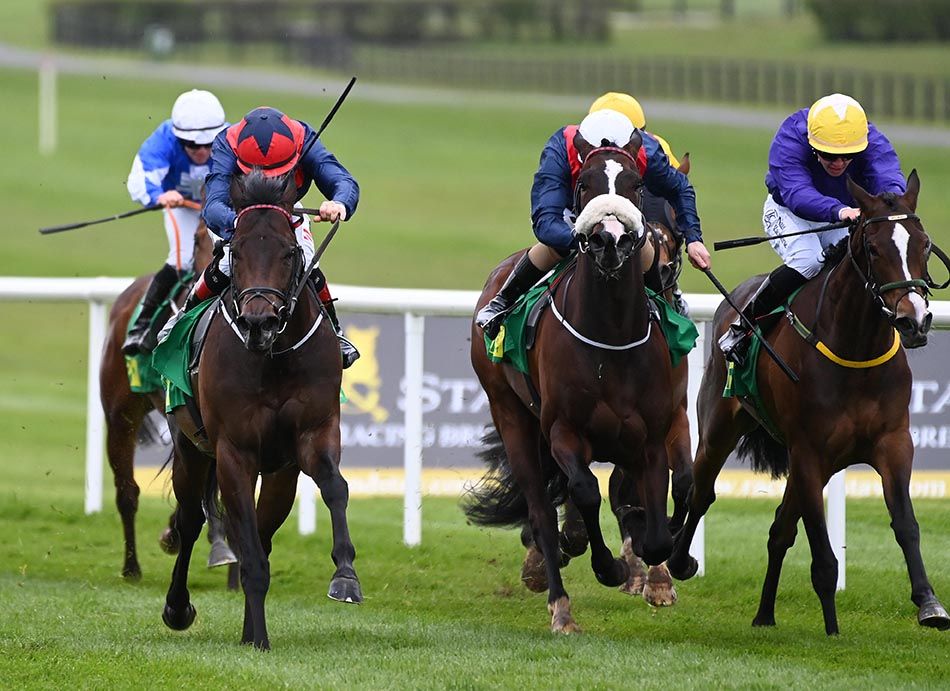 Red Letter Bray (left) beats King Of Scotia (white cap) and Queenie St Clair (right)