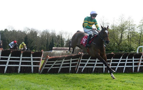 Ballybawn Belter clears the last