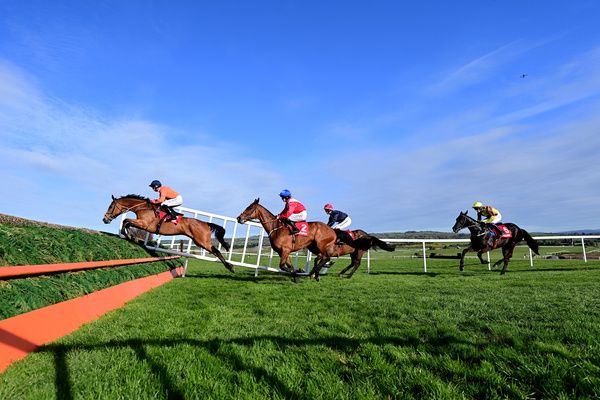 Punchestown 26 April 2023 Ladbrokes Punchestown Gold Cup Grade 1 A worm s eye view of the runners clearing the 7th fence with Bravemansgame leading fr