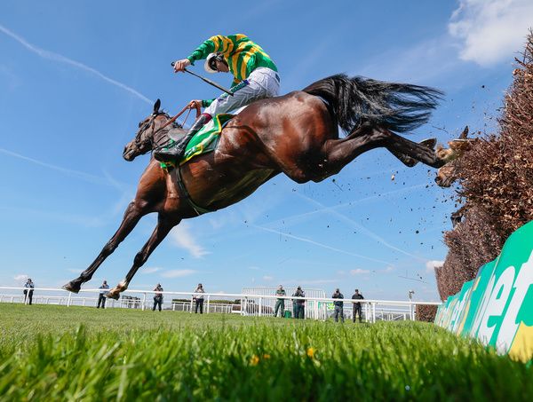 Jonbon in winning action at Sandown this spring