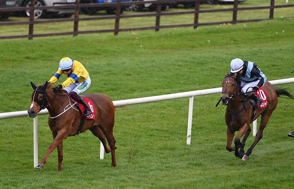 Aussie Girl and Mark Enright lead home Yuzu and Shane Foley