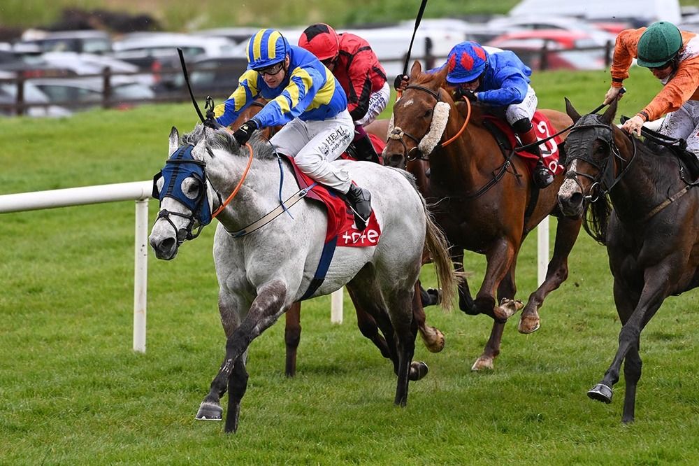 The grey Conversant is ridden out by Joey Sheridan