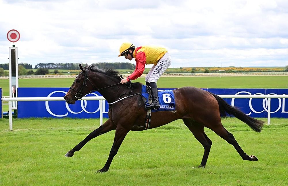 Snowcapped and Shane Foley 