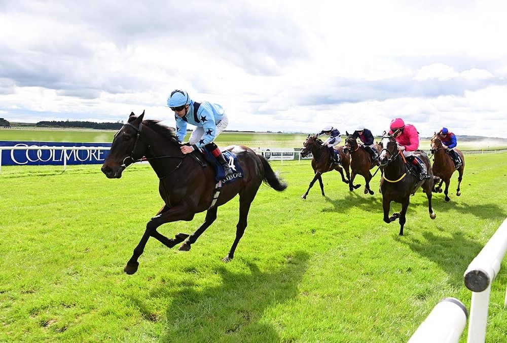 Visualisation wins from Lafayette (pink) 