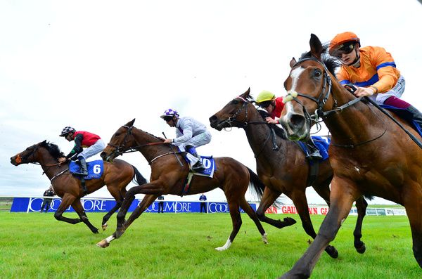 The Curragh 
