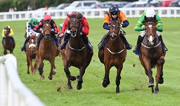 Showurappreciation (right) stays on best to beat All For Rachel (centre) and Easy Fella