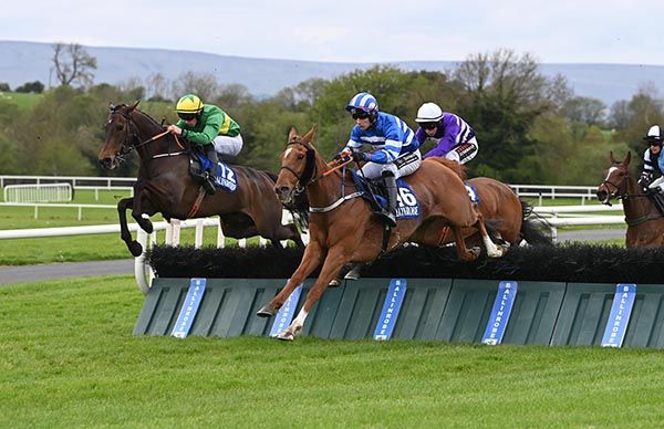 Bugscuffle (inside) jumps the last alongside Glenmalure Lodge