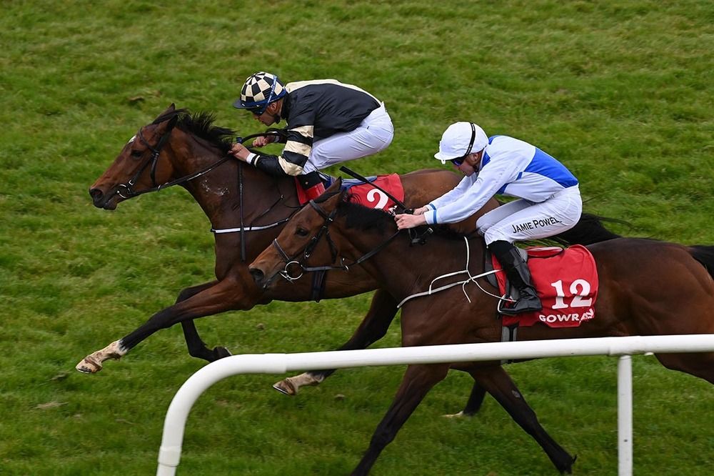 Timeless Piece beats Not Even Maybe