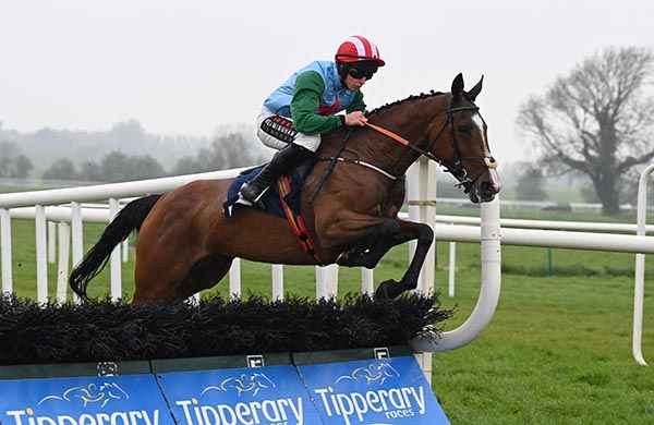 Mike O'Connor guides Miss Tempo home