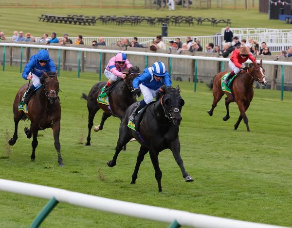 Mutasaabeq winning at Newmarket earlier this month