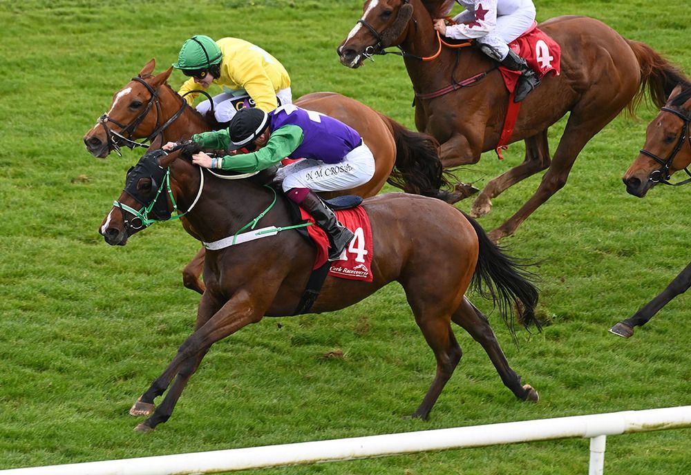 Purring Along and Nathan Crosse 