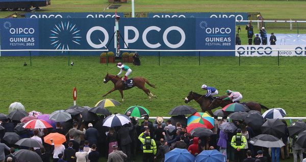 Hi Royal chases home Chaldean