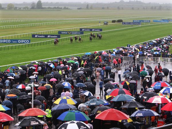 Newmarket 