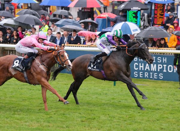 Vadream wins the Howden Palace House Stakes Group 3 Newmarket