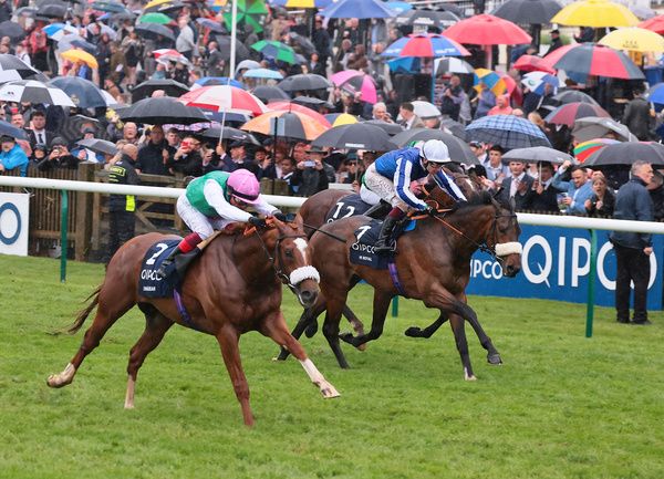 Hi Royal (blue/white) finishing second to Chaldean at Newmarket