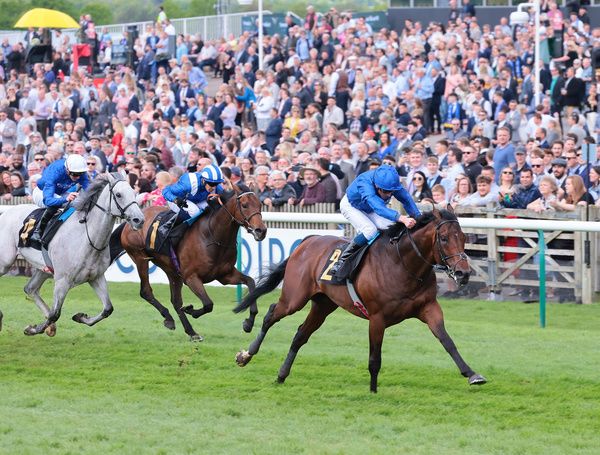 Adayar (William Buick) winning at Newmarket