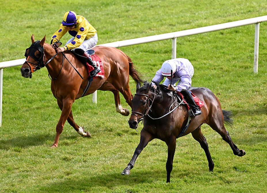 You Owe Me Money and Dean Curran (right)