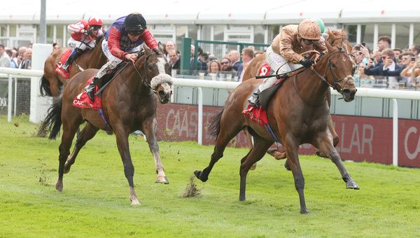 Nymphadora and Oisin Murphy winning The CAA Stellar Handicap Stakes 