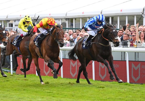 Pride Of America won the John Smith's Cup at York for trainer Amy Murphy. 