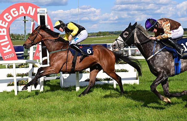 Macanogue and Ben Harvey win the William Hill Maiden Hurdle for the Stylebawn Syndicate 