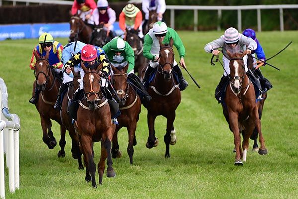 Killeemore Lad  Philip Donovan win the William Hill Maiden Hurdle for the Lumper Lane Syndicate 