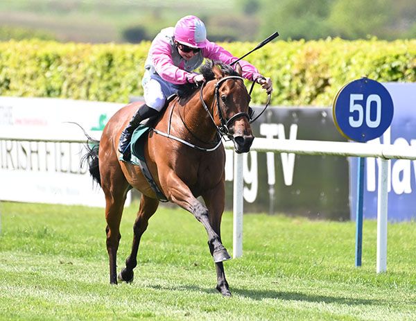 Markievicz is ridden out by Conor Stone-Walsh