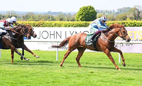 Parting Glass leads home his rivals under Mark Enright