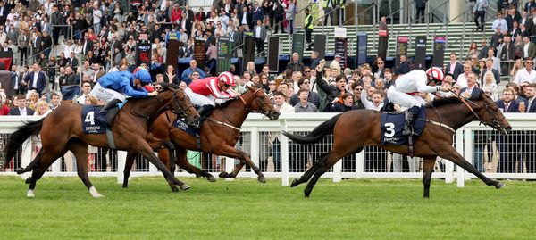 Natural Force and Neil Callan winning at Ascot on Saturday