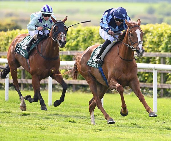 Red Vermillion is ridden out by Mpumelelo Mjoka 