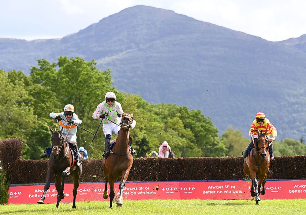 Vina Ardanza (left) was knocked off course by Saldier at the last fence in Killarney