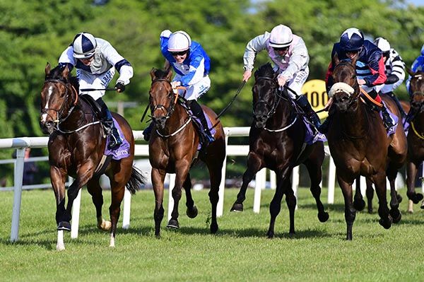 Sneddy Eddie  Ronan Whelan left win the Wildroots Festival Handicap 