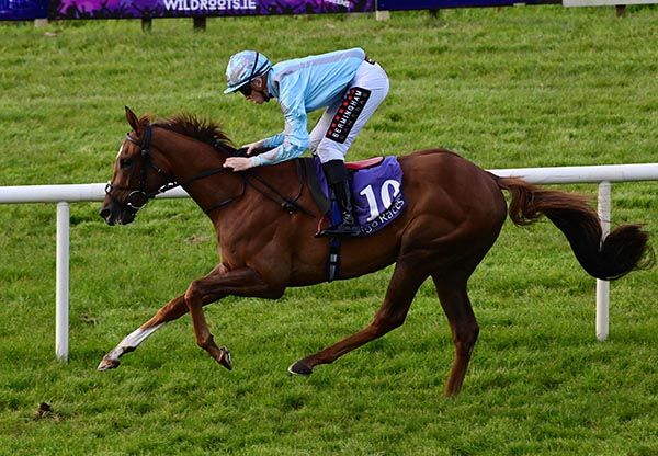 Rattle And Hum and Jake Coen  