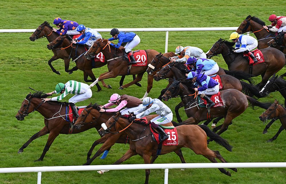 Admiral Nelson (green & white) leads home his rivals under Donagh O'Connor