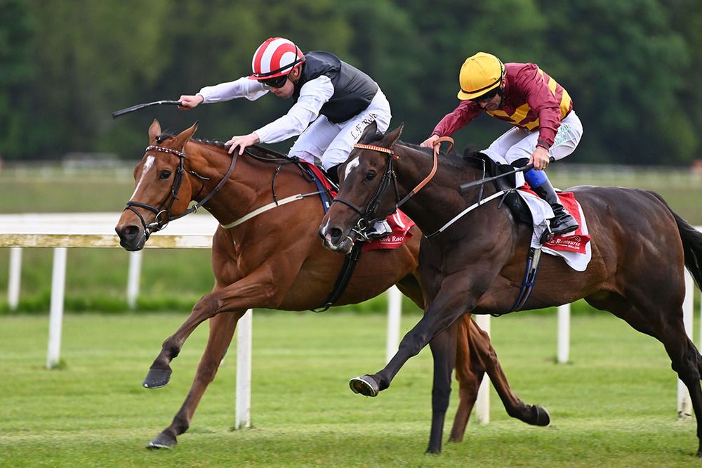 Harbour Wind and Leigh Roche beat Cuban Dawn (nearest)