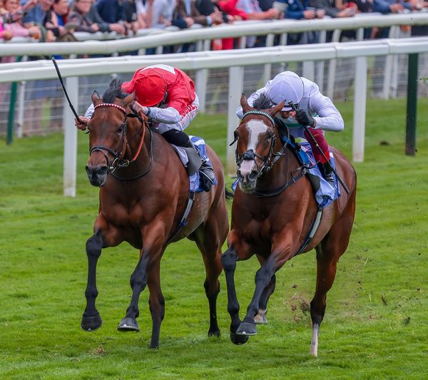 Free Wind, right, gets the better of Rogue Millennium 
