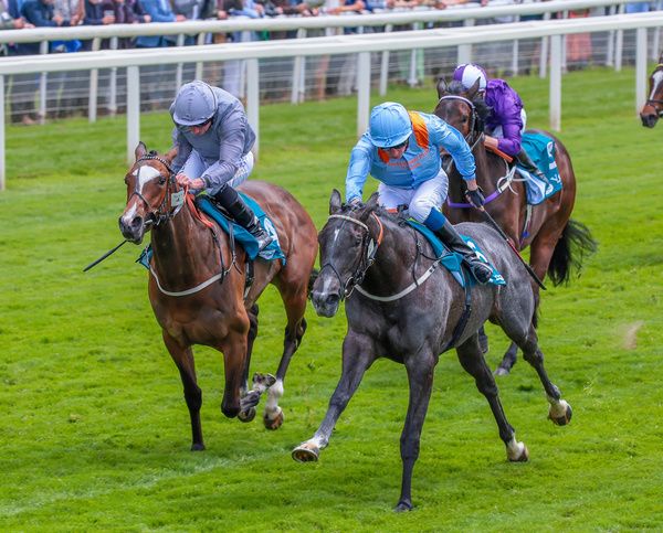 Got To Love A Grey and Sam James win The Clipper EBF Marygate Fillies Stakes Listed Race 