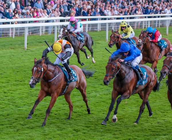 Sounds Of Heaven pictured on her way to victory at York in May