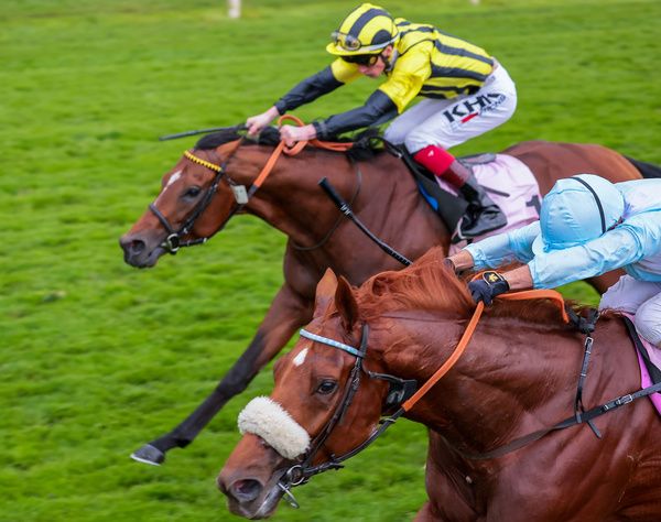 Giavellotto winning at York