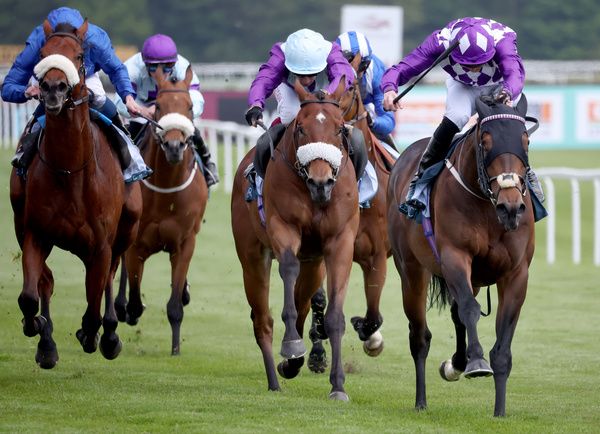 Shaquille (right) seen winning at Newbury