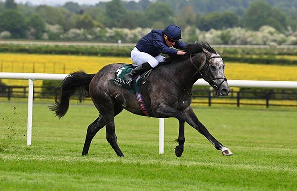 Ryan Moore sends The Antarctic for home 