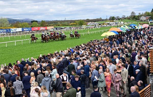 Down Royal Racecourse
