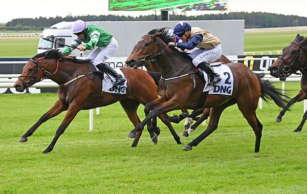 Bellaphina (Conor Maxwell) beating Clounmacon