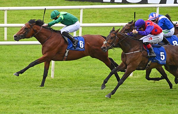 Subzero is driven out by Ryan Moore to hold off the fast finishing Space Age